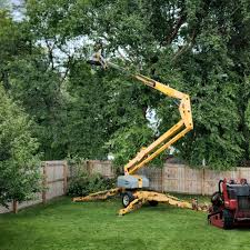 Best Grass Overseeding  in Coronita, CA