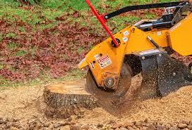 Best Tree Disease Treatment  in Coronita, CA